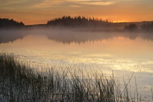 morning glow